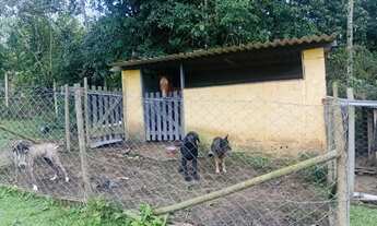Imagem 7: Chácara plaina lagoa piscina
