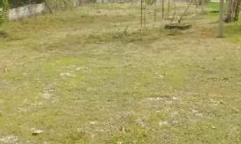 Imagem: Vendo ou troco terreno no ramal água branca