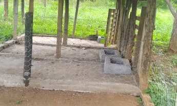 Imagem 5: Sítio Hidrolândia Goiás Terra 3.5 alqueires