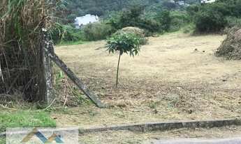Imagem 6: Lote/Terreno à Venda em Ingleses do Rio Vermelho - Florianópolis