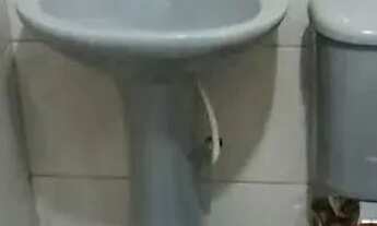 Imagem 3: Casa frente de rua em Olinda - Nilópolis - RJ