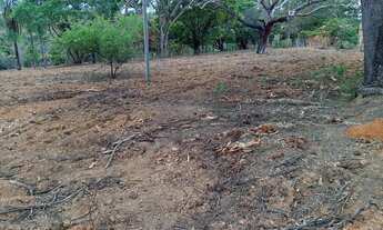 Imagem 5: Área 125 Hectares/Em Moc/Ideal pra dividir em sítios menores...Aceita veículo ou imóvel.