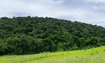 Imagem 7: Terrenos para casa de campo, Ibiúna - SP