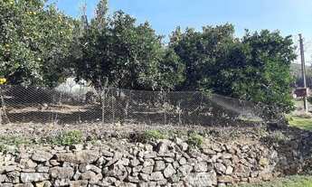 Imagem 5: Sítio em Estrada da Linha Nova - Linha Nova - Gramado/RS