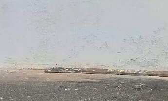 Imagem 3: IMPERDÍVEL! Casa mobiliada com garagem dupla, quintal amplo e pronta para morar!?