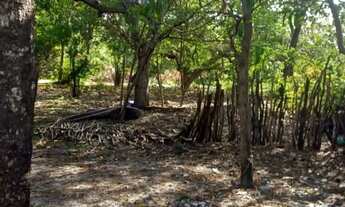 Imagem 5: Vendo casa com terreno grande em Sto Amaro do - MA