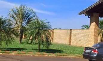 Imagem 6: Terreno em MIGUELÓPOLIS às margens do RIO GRANDE