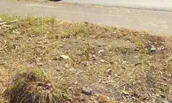 Imagem 6: Imóvel comercial no setor Garavelo