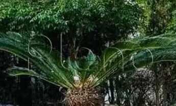 Imagem 2: Sobrado à venda em Indaiatuba, Jardim Santa Rita, com 4 quartos, com 300 m²