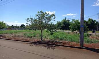 Imagem 7: Lote em Rua Ceará - Centro - Itaipulândia/PR