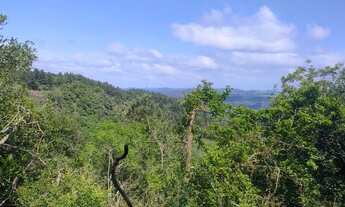 Imagem 4: SÍTIO 24 HECTARES COM VISTA PANORÂMICA - ENTRADA + PARCELAMENTO DIRETO