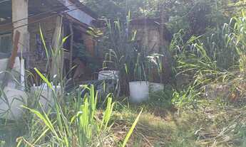 Imagem 3: Terreno a venda com água luz e esgoto