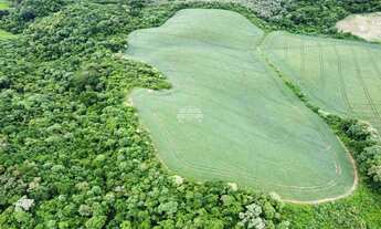 Imagem 6: Vendas Chácara Almirante Tamandaré PR