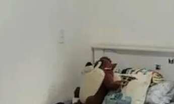 Imagem 7: Casa em Condomínio para Venda em Sorocaba, Horto florestal, 3 dormitórios, 1 suíte, 4 banh