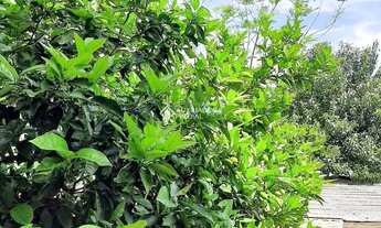 Imagem 6: APARTAMENTO JK PERTO DA PUCRS