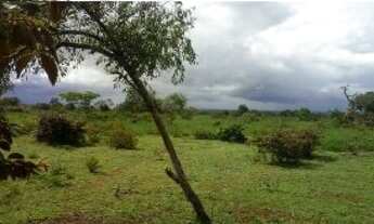 Imagem: Fazenda entre Biritinga - Satiro Dias