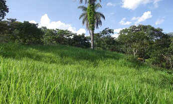 Imagem 2: Serra d Cipó!!! fazendinha rural de 6.5 ha todo formado * WhtsApp