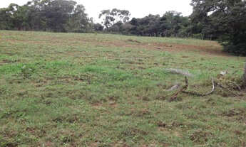 Imagem 6: Serra d Cipó!!! fazendinha de 5 ha, com casa * WhtsApp