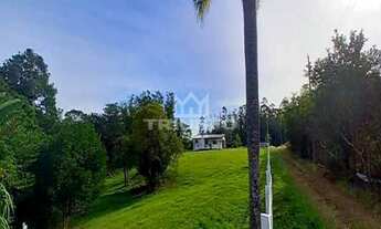 Imagem 4: Sítio de 3 hectare com duas casas.!!!