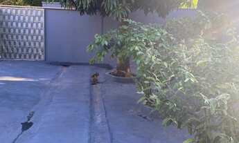 Imagem 3: Imóvel Parque Watal Ishibashi