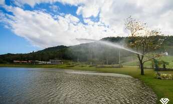 Imagem 7: Duquesa de Chartres