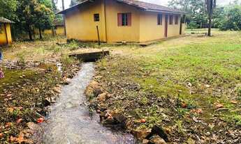 Imagem: Fazendinha com área de 29.000m² em Mateus