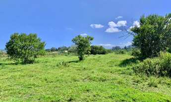 Imagem 6: ÁREA DE TERRA BEIRA DE LAGOA, IDEAL PARA CHÁCARA, CRIAÇÃO DE GADO, SEM BENFEITORIAS, ESTUD