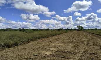 Imagem 4: Excelente área de terra a venda em Vitória da Conquista