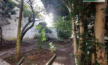 Imagem 7: Casa para alugar por R$ 8.000/ mês - Vila Gilda - Santo André/SP