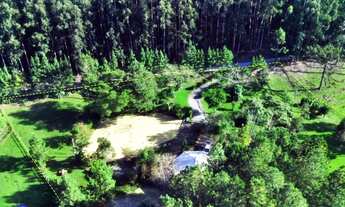 Imagem 4: Linda Chácara de 8000 m2 com Choupana em Agrolândia SC