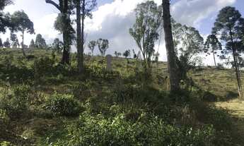 Imagem 6: Chácara para Venda em Centro Bocaiúva do Sul-PR - 550