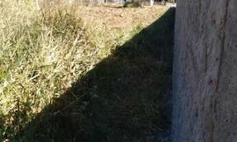 Imagem 2: Chácara (Terreno) 1000m2