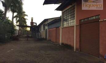 Imagem 2: Barracão comercial para venda e locação, Distrito Industrial I, Barretos