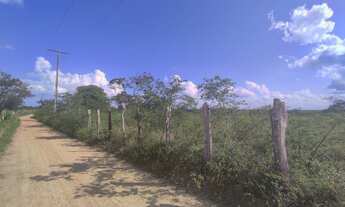 Imagem 6: 10 tarefas de terra em Santanópolis-Ba