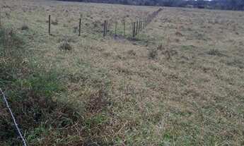 Imagem 5: Jacupiranga - Fazenda - Canha