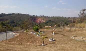 Imagem 4: Chacara 10.000m² com campo de futebol , pomar com plantas frutiferas