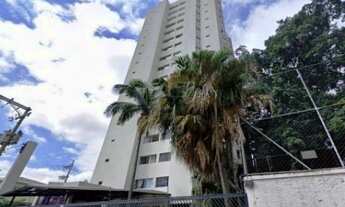 Imagem: Venda Residential / Apartment Vila Isolina