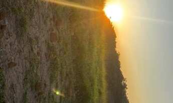 Imagem 4: Lote para venda tem 500 metros quadrados em Jardim Bela Vista - São José dos Campos - SP