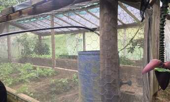 Imagem 7: Fazenda/Sítio/Chácara para venda com 24000 metros quadrados com 4 quartos