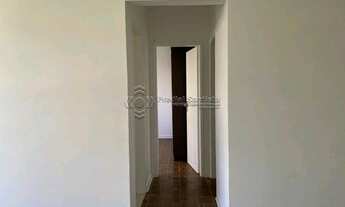 Imagem 7: SANTOS - Padrão - José Menino