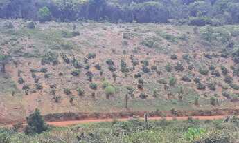 Imagem 5: Fazenda em Nilo Peçanha