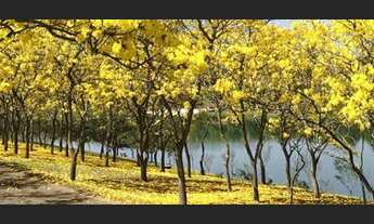 Imagem 5: Excelente terreno no condomínio Quinta da Baroneza