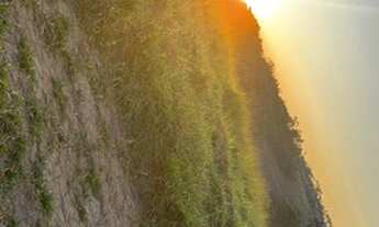 Imagem 5: Lote para venda tem 500 metros quadrados em Jardim Bela Vista - São José dos Campos - SP