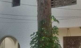 Imagem 3: SOBRADO - JARDIM EUROPA - SP