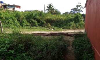 Imagem 5: Vende-se terreno Curado