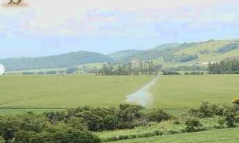 Imagem 4: Fazenda dupla aptidão , Porteira Fechada - Cornélio Procópio - PR