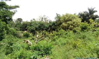 Imagem 5: CHACARA - DOIS CÓRREGOS - SP