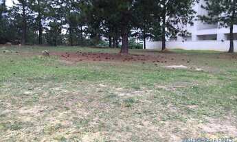 Imagem 3: TERRENO - ALPHAVILLE CONDE I - SP