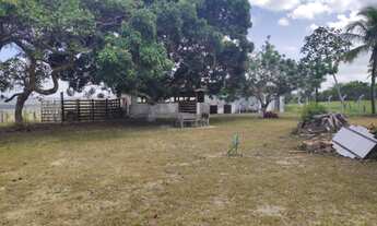 Imagem 7: Sítio / fazenda em itaporanga