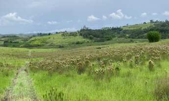 Imagem 6: Lote/Terreno para venda possui 5000 metros quadrados em Loteamento Villa Branca - Jacareí